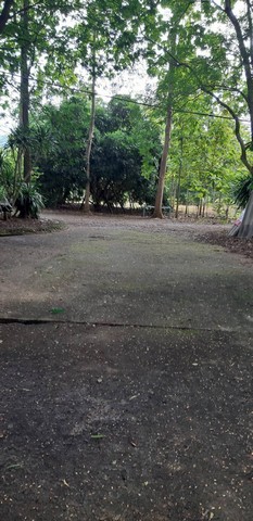 ขายที่ดินสวยสวนผลไม้สวนสักทอง และสวนยางพารา พร้อมเก็บเกี่ยวผลผลิต ที่ ต.ทรายขาว อ.สอยดาว จันทบุรี