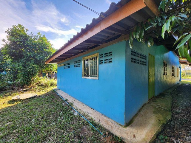 บ้านสวนทุเรียนสร้างใหม่สองหลังราคา3ล้านเท่านั้น เขตชุมนุมสูง จ.ระยอง