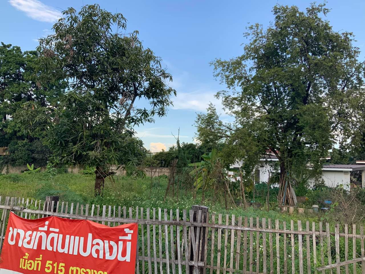  ขายที่ดิน อ.เมืองเชียงใหม่
