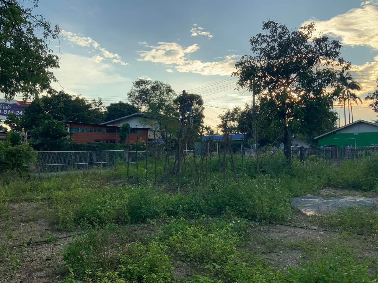  ขายที่ดิน อ.เมืองเชียงใหม่