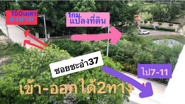 ที่ดินชะอำ 151 ตรว. ถูกที่สุดในโครงการที่ดินจัดสรรหน้ากว้าง ถนนกว้าง