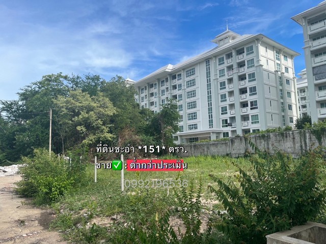 ที่ดินชะอำ 151 ตรว. ถูกที่สุดในโครงการที่ดินจัดสรรหน้ากว้าง ถนนกว้าง