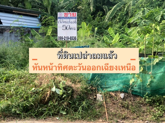 ที่ดินประเสริฐมนูกิจ29 (เกษตร-นวมินทร์) ที่ดิน50ตรว. 