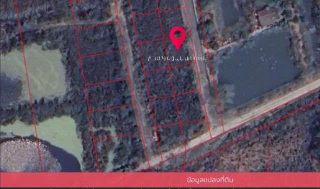 ที่ดินวังน้อยอยุธยา 64ตรว. ไม่ถึงสามแสน ที่ดินใกล้แฟคตอรี่แลนด์วังน้อย
