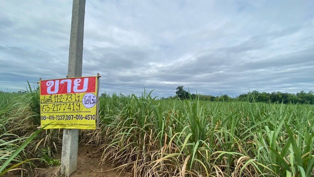 ขายที่ดินเปล่าติดถนนลาดยาง​ 11-2-73ไร่​ ต.สระลงเรือ​ อ.ห้วยกระเจา​ จ.กาญจนบุรี  ZY150