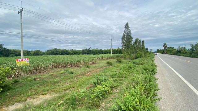 ขายที่ดินเปล่าติดถนนลาดยาง​ 11-2-73ไร่​ ต.สระลงเรือ​ อ.ห้วยกระเจา​ จ.กาญจนบุรี  ZY150