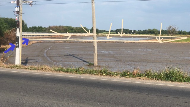 ที่ดินลพบุรี 2-2-64ไร่ เป็นที่นา ใกล้ถนนใหญ่ 50 เมตร