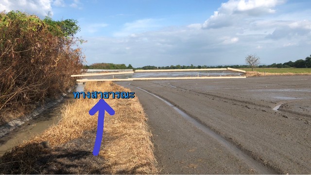ที่ดินลพบุรี 2-2-64ไร่ เป็นที่นา ใกล้ถนนใหญ่ 50 เมตร
