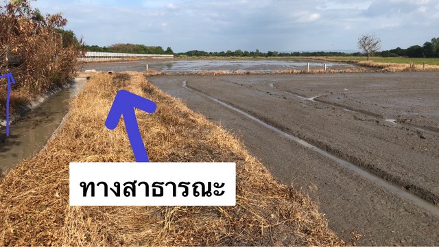 ที่ดินลพบุรี 2-2-64ไร่ เป็นที่นา ใกล้ถนนใหญ่ 50 เมตร