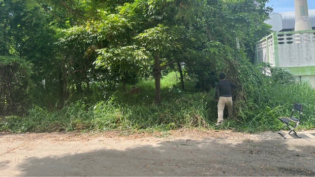 ที่ดินต้นโพธิ์ตัวเมืองสิงห์บุรี 2ไร่กว่า ขายต่ำกว่าราคาประเมิน