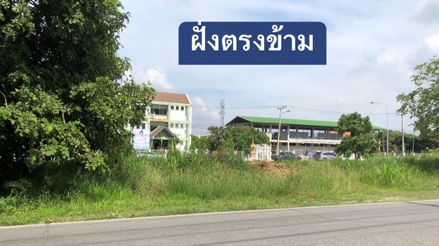 ที่ดินต้นโพธิ์ตัวเมืองสิงห์บุรี 2ไร่กว่า ขายต่ำกว่าราคาประเมิน