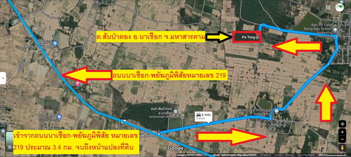 ขายที่ดินพร้อมสวนป่ายูคาลิปตัส 20-0-18 ไร่ (2แปลงติดกัน) หน้ากว้าง 117 เมตร ลึก 290 เมตร ติดถนนสาธารณะ ต้นยูคาลิปตัส อายุ 3 ปี