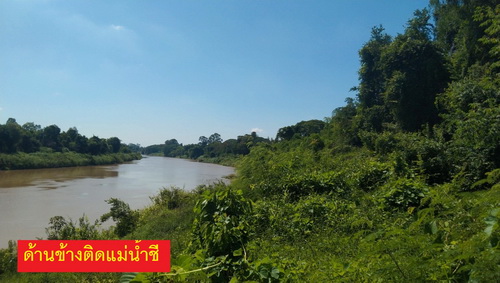 ขายที่ดินเปล่า 2-1-24 ไร่ ติดถนนหน้ากว้าง 87 เมตร ติดแม่น้ำกว้าง 54 เมตร ติดถนนสาธารณะ ด้านข้างติดแม่น้ำชี ทำเลดี ใกล้ชุมชน