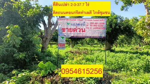 ขายที่ดินเปล่า 2-3-37.7 ไร่ หน้ากว้าง 30 เมตร ลึก 153 เมตร ติดถนนคอนกรีต ทำเลดี ใกล้ชุมชน เหมาะแก่การสร้างที่อยู่อาศัย, ทำธุรกิจรีสอร์ท