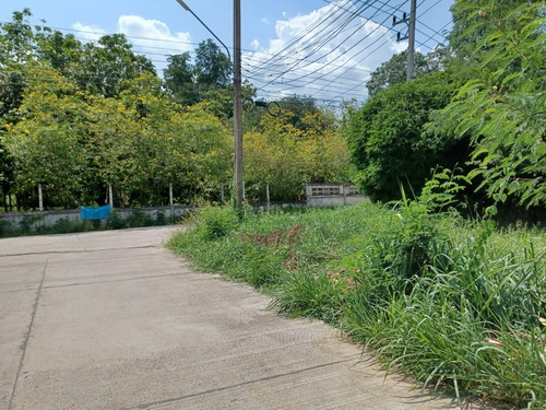 ขายที่ดินเปล่า 1-1-88.4 ไร่ หน้ากว้าง 55 เมตร ลึก 42 เมตร ติดถนน 3 ด้าน ทำเลดีใกล้ถนนราชสีมา-ปักธงชัย (หมายเลข 304)