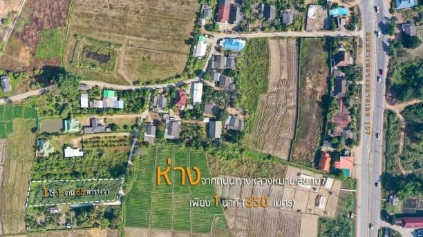 โซนเชียงดาว ขายที่ดิน 2.25 ล้าน 1 ไร่ 1 งาน 65.1 ตรว. วิวดอยหลวงเชียงดาว สวยมากๆ ติดถนนคอนกรีต ใกล้ทางหลวงหมายเลข 107 เพียง 350 ม.