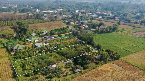 โซนเชียงดาว ขายที่ดิน 2.25 ล้าน 1 ไร่ 1 งาน 65.1 ตรว. วิวดอยหลวงเชียงดาว สวยมากๆ ติดถนนคอนกรีต ใกล้ทางหลวงหมายเลข 107 เพียง 350 ม.