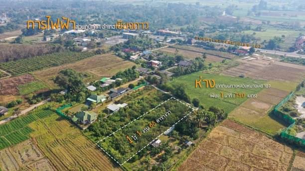 โซนเชียงดาว ขายที่ดิน 2.25 ล้าน 1 ไร่ 1 งาน 65.1 ตรว. วิวดอยหลวงเชียงดาว สวยมากๆ ติดถนนคอนกรีต ใกล้ทางหลวงหมายเลข 107 เพียง 350 ม.