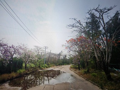 ที่ดินเปล่าในสนามกอล์ฟ​ Ballyshear​ Golf​ links ผังเมืองสีเหลือง​ ราคาต่ำกว่าตลาด แปลงสี่เหลี่ยม 400 ตร.วา 
