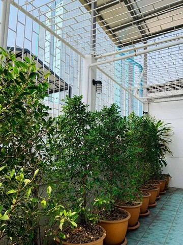 ให้เช่าอาคารพาณิชย์ 2 คูหา 3.5 ชั้น 450 ตรม. ย่านพระราม 4 ตรงข้ามช่อง 3 ติดสวนเพลินมาเก็ต ตึกรีโนเวทใหม่ พร้อมทำธุรกิจได้เลย 