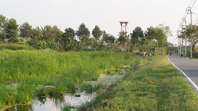 ขายที่ดินแปลงสวยอยู่ถนนประชาร่วมใจเขตคลองสามวา กรุงเทพมหานคร พื้นที่ 4 ไร่ 1 งาน 78 ตารางวา 