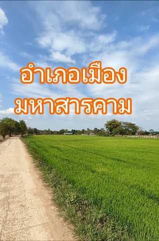 ขายบ้านพักตากอากาศ พร้อม สิ่งปลูกสร้าง และ ไร่นาสวนผสม ตำบลเกิ้ง อำเภอเมือง มหาสารคาม