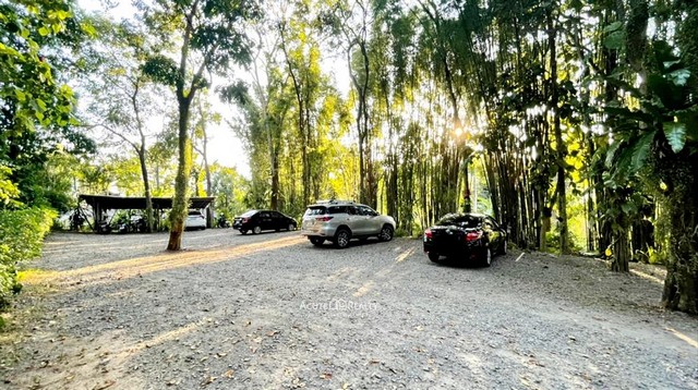 ขายรีสอร์ทใน อ.แม่ริม จ.เชียงใหม่ 4-1-68 ไร่ ตกแต่งพร้อม ดำเนินกิจการต่อได้เลย