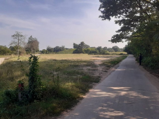 ขายที่ดินสวย  3-3-22  ไร่ ติดถนนสองด้าน  ต.บ้านโพธิ์ อ.เมือง จ.นครราชสีมา   ZE562