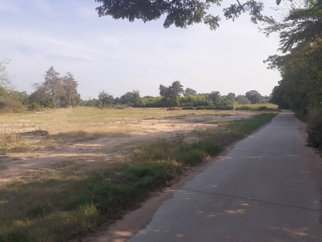 ขายที่ดินสวย  3-3-22  ไร่ ติดถนนสองด้าน  ต.บ้านโพธิ์ อ.เมือง จ.นครราชสีมา   ZE562