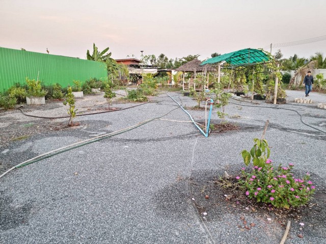  ขายที่ดินสวย 1-1-29ไร่ ถ.สวนส้ม ชัยมงคล สมุทรสาคร พร้อมบ้านสวนสไตล์รีสอร์ท    ZW295