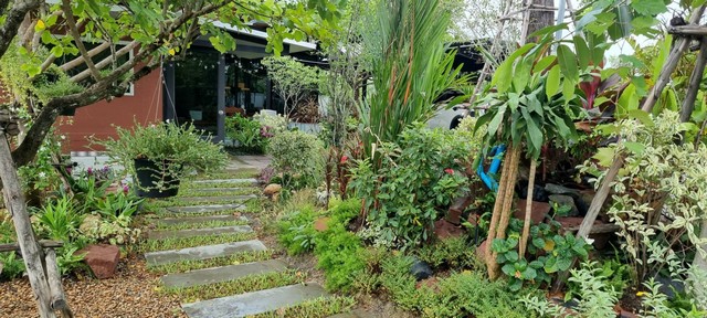  ขายที่ดินสวย 1-1-29ไร่ ถ.สวนส้ม ชัยมงคล สมุทรสาคร พร้อมบ้านสวนสไตล์รีสอร์ท    ZW295