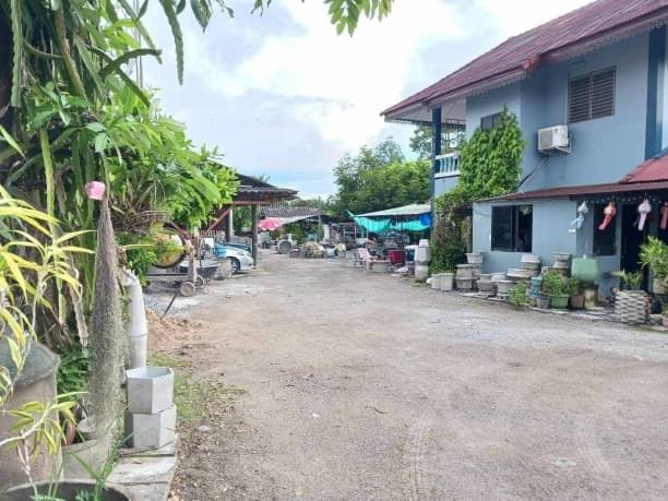 ติดแม่น้ำปิง #โซนป่าแดด #อำเภอเมือง ขาย 30 ล้าน #บ้านพร้อมที่ดิน เนื้อที่ 325 ตรว. #ด้านหน้าติดถนนเรียบแม่น้ำปิง