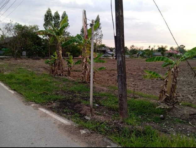 ขายที่ดินทำเลดี ตำบลแม่ตาว อำเภอแม่สอด จังหวัดตาก (เจ้าของขายเอง)