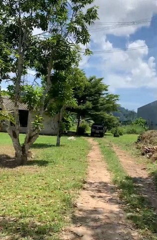ขายด่วน ที่ดินซอยเกาะแก้ว 33 ตำบลเกาะแก้ว อำเภอเมือง จังหวัดภูเก็ต