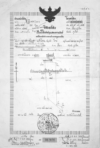 ขายด่วน ที่ดินซอยเกาะแก้ว 33 ตำบลเกาะแก้ว อำเภอเมือง จังหวัดภูเก็ต