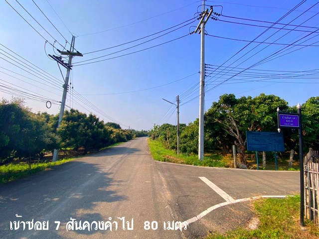 ขายที่ดิน 2งาน 599,000บาท ถมดินแล้ว ถนน ไฟฟ้า ประปา ต.ท่าวังพร้าว อ.สันป่าตอง เชียงใหม่