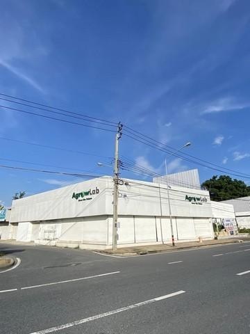  ให้เช่าโชว์รูม โกดัง ที่ดินเปล่า ทำลดีย่านถนนเกษตรนวมินทร์ ประเสริฐมนูกิจ เหมาะกับหลายธุรกิจ รหัสC5854 