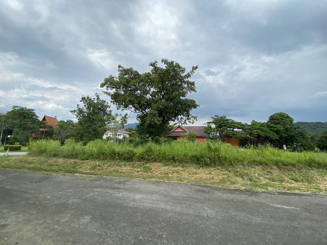 ขายที่ดิน 156 ตร.ว ในสนามกอล์ฟ Sir jame resort  Forest Hillเดิม 