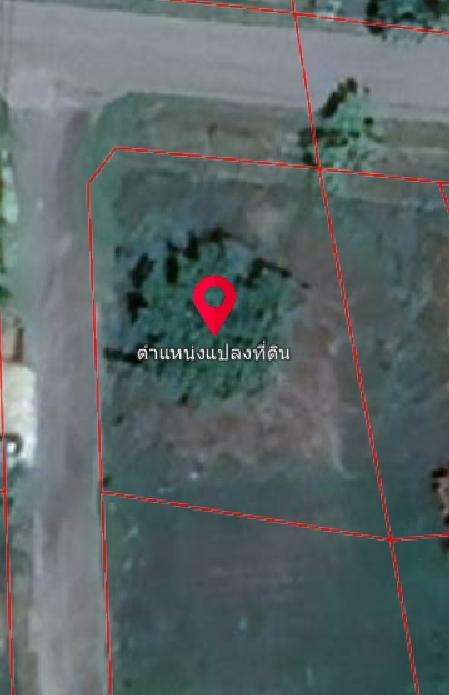ขายที่ดิน 156 ตร.ว ในสนามกอล์ฟ Sir jame resort  Forest Hillเดิม 
