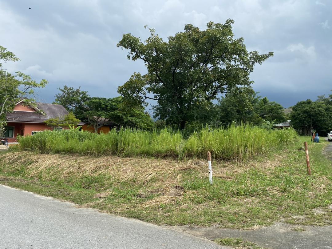 ขายที่ดิน 156 ตร.ว ในสนามกอล์ฟ Sir jame resort  Forest Hillเดิม 