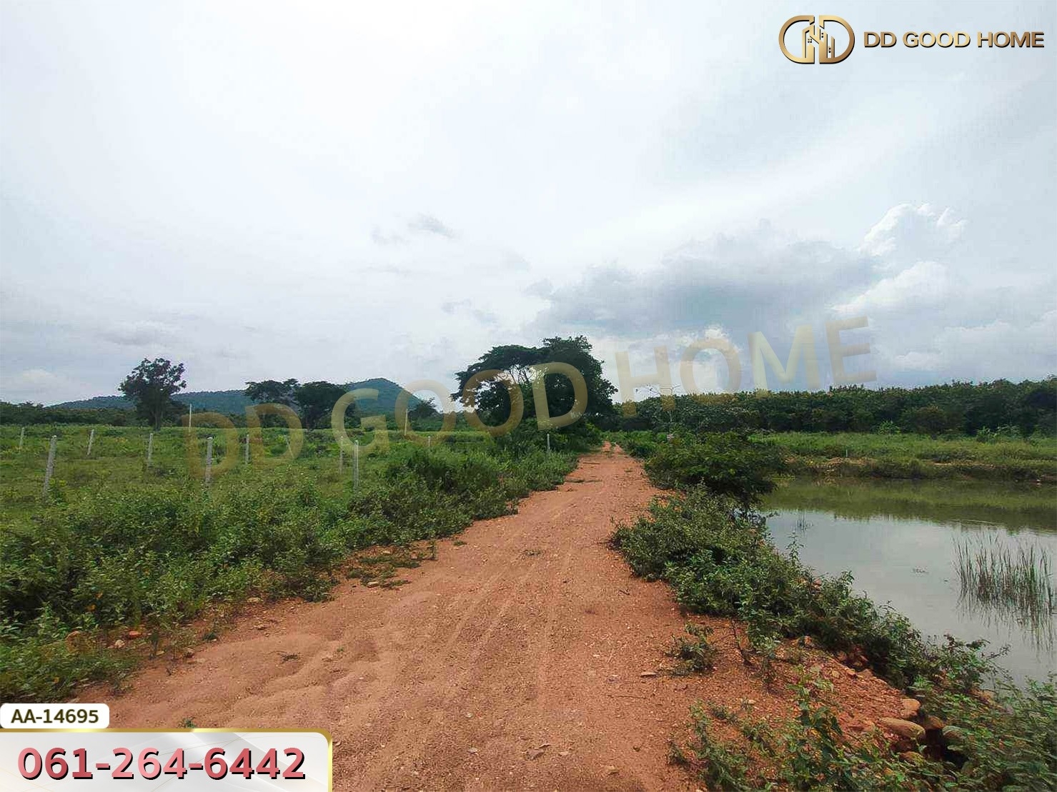 ที่ดินขนาด 14 ไร่ 314 ตร.ว. ใกล้โรงเรียนบ้านท่ามะริด ท่ายาง เพชรบุรี