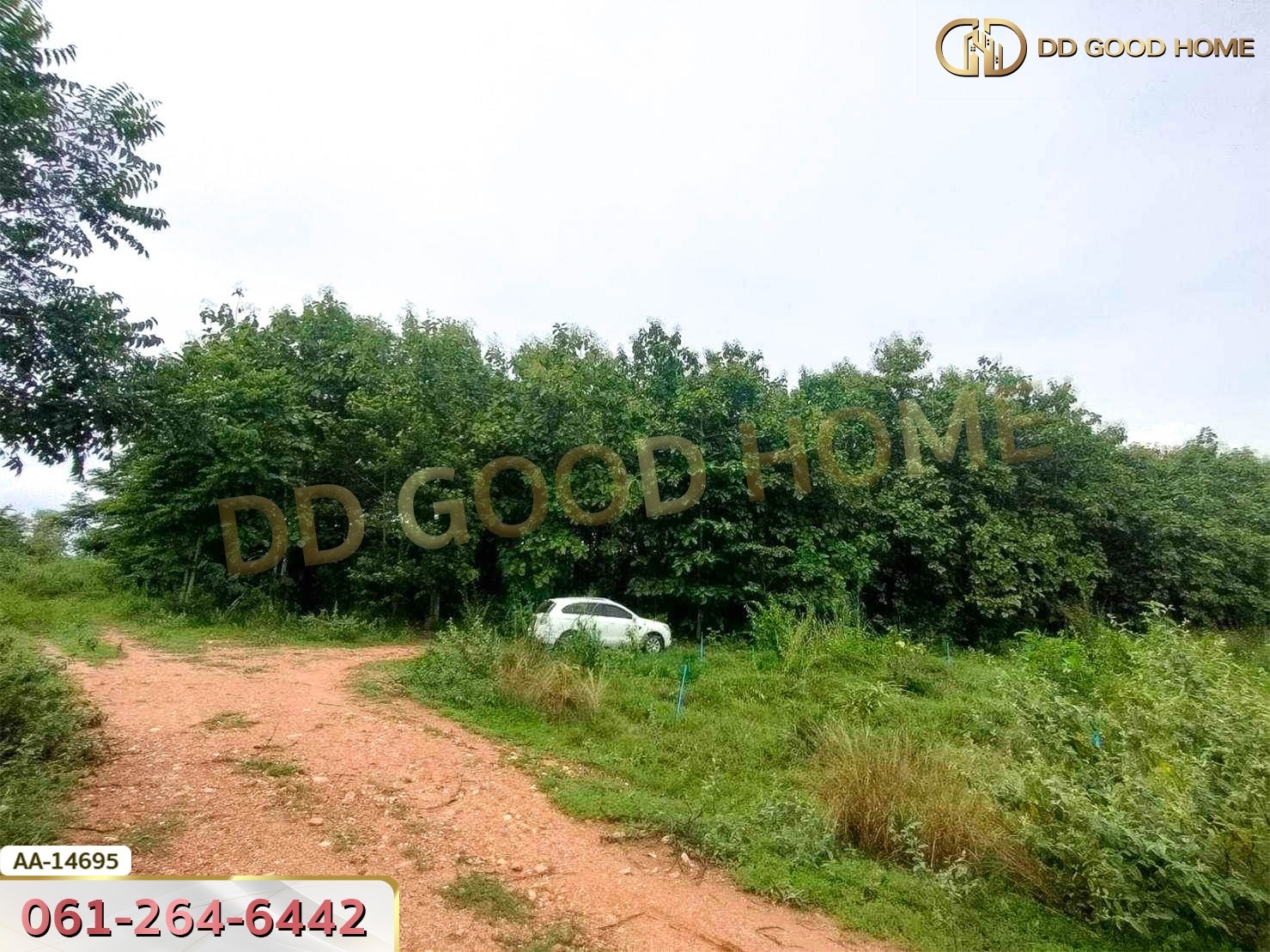 ที่ดินขนาด 14 ไร่ 314 ตร.ว. ใกล้โรงเรียนบ้านท่ามะริด ท่ายาง เพชรบุรี