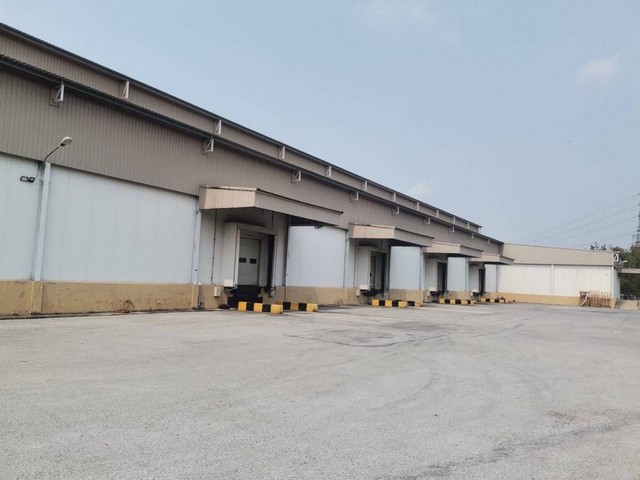ขาย โรงงาน ห้องเย็น ระยอง บ้านค่าย ดำเนินกิจการให้เช่าอยู่ ที่ดิน 9 - 0 - 15.8 ไร่ พื้นที่โกดัง 4,800 ตรม. ขาย 125,000,000 บาท