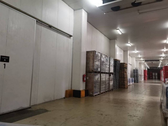 ขาย โรงงาน ห้องเย็น ระยอง บ้านค่าย ดำเนินกิจการให้เช่าอยู่ ที่ดิน 9 - 0 - 15.8 ไร่ พื้นที่โกดัง 4,800 ตรม. ขาย 125,000,000 บาท