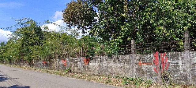  ที่ดินสวนมังคุด ใกล้สถานีรถไฟรางคู่ อ.ขลุง จ.จันทบุรี