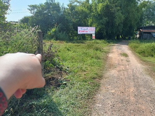 ขายที่ดินเปล่า 298 ตรว.ติดถนนสองด้าน ทำเลดี ราคาถูก ต.ดอนทองอ.เมืองจ.พิษณุโลก