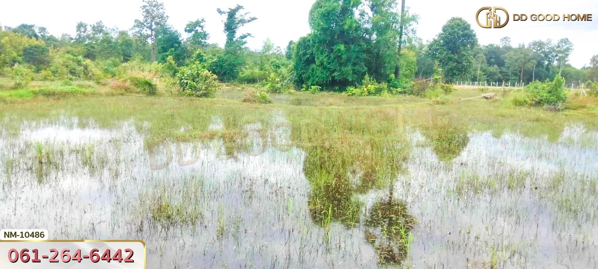 ที่ดินขนาด 10 ไร่ 27 ตร.ว. ใกล้อ่างเก็บน้ำห้วยคำท้า นครพนม