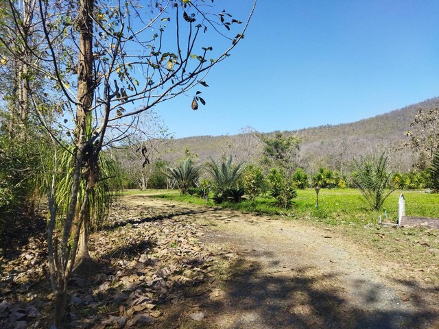 ขายที่ดิน แถมบ้านสวน แม่ออน จังหวัดเชียงใหม่ 8 ไร่ ติดถนนหลัก วิวสวยมาก