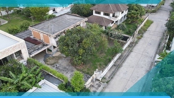 ขายที่ดิน 200 ตรว พร้อมบ้านเก่า ราคาต่ำกว่าตลาด พัฒนาการ 76 78 ใกล้แยกพัฒนาการ เดินทางสะดวก