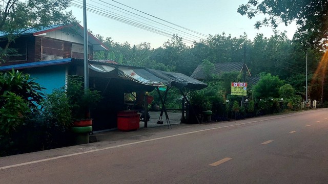 ขายที่ดินสวนยางและที่นา พร้อมสิ่งปลูกสร้าง 16-3-80 ไร่  บ้านปักหมู อ.โพนพิสัย จ.หนองคาย  ZP071 
